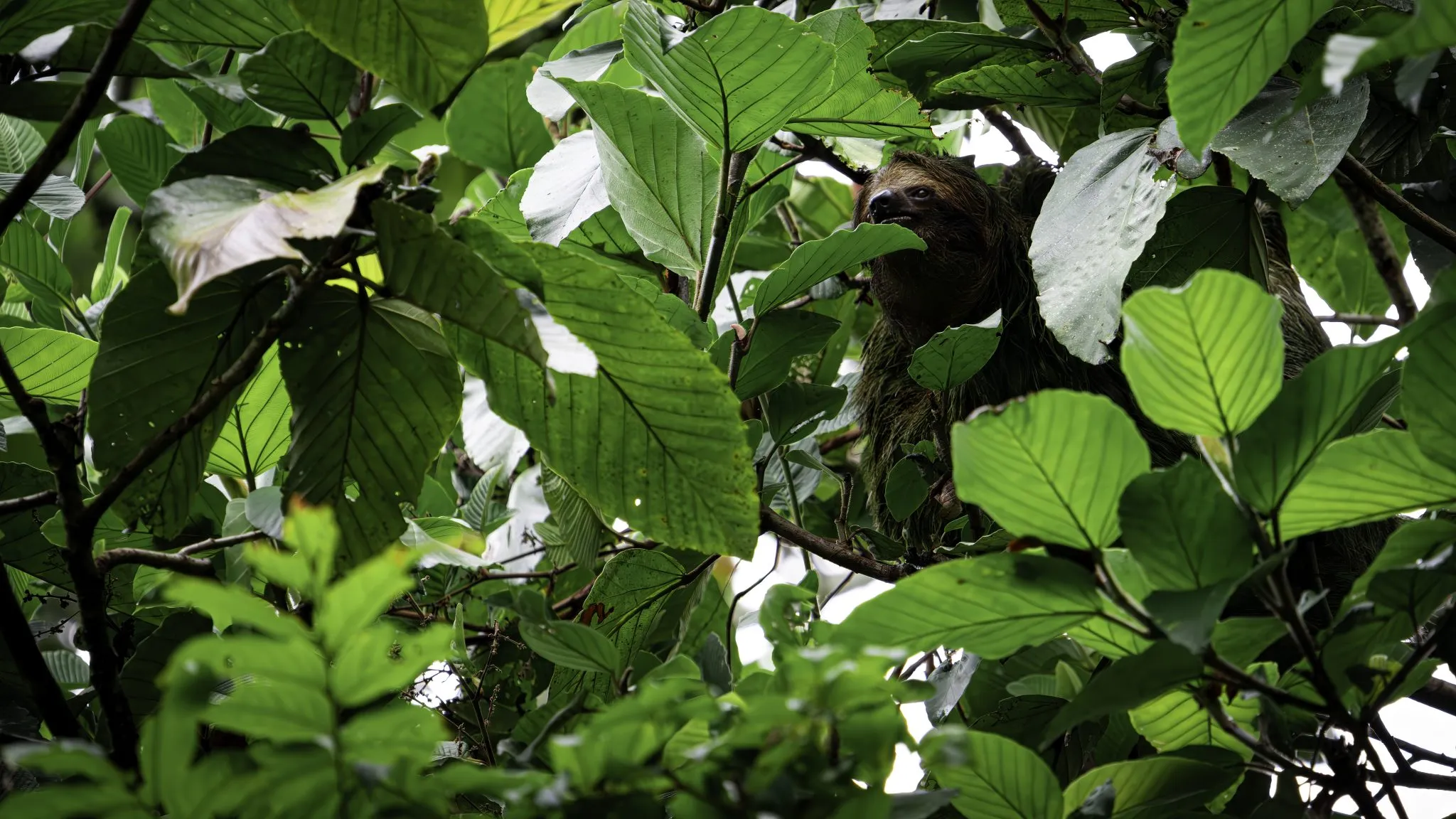 Long Weekend in La Fortuna, Costa Rica