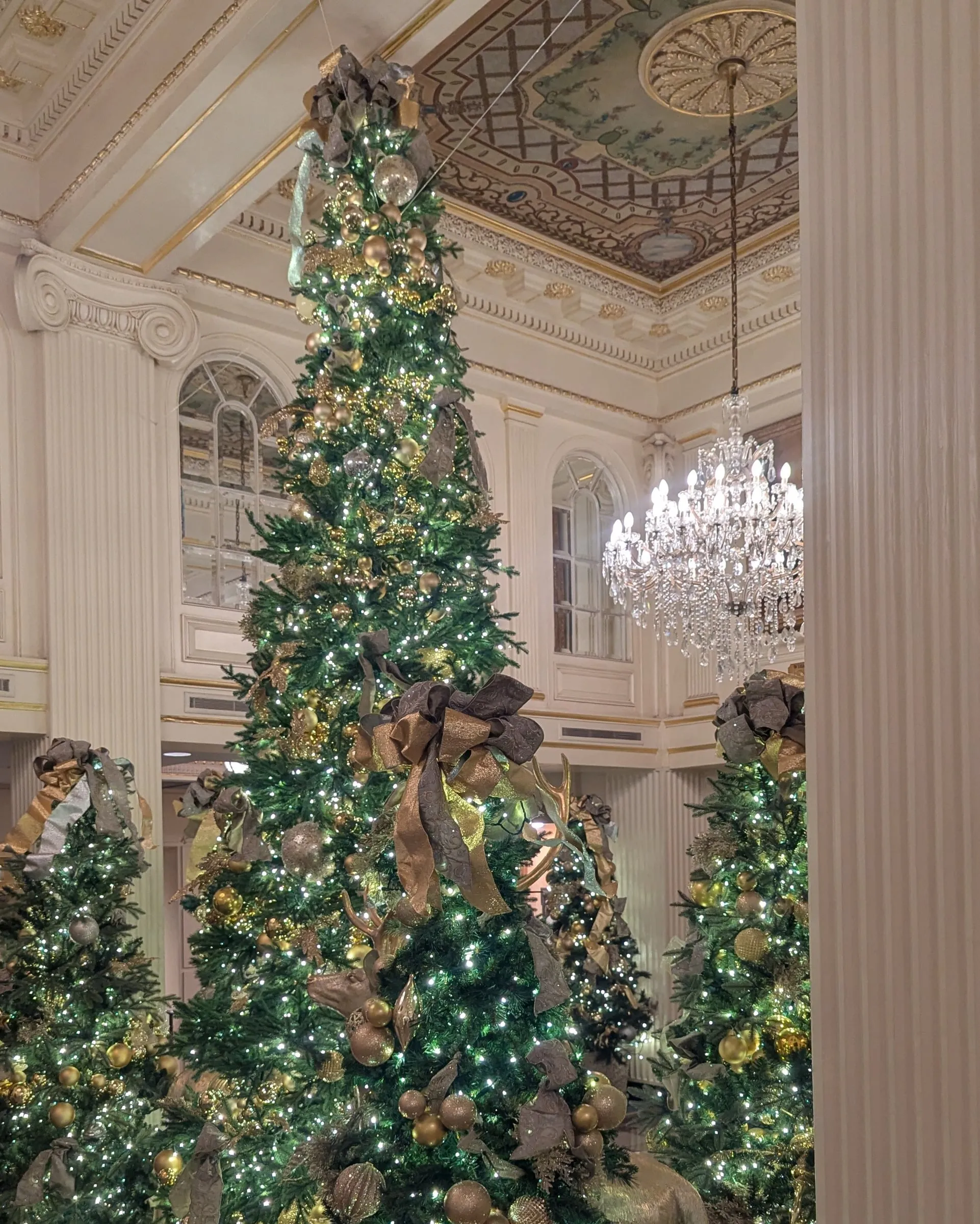 Hotel Monteleone’s lobby decorated for the holidays: tall Christmas trees hung with gold ornaments and bronze ribbons, under a crystal chandelier and a painted, coffered ceiling